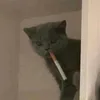 speekrererere