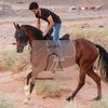 عاشق الخيل—🐎🐎🐎🐎