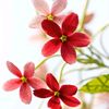 user075315760