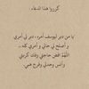 nori_36