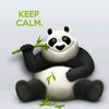 leon_agripado