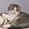 vraiment.com