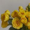 mahrallessa