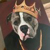 sunnythebully757
