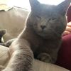 greyboy00712