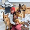 dogwalkingdiaries