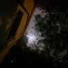 nory_330