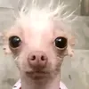 kylobytez