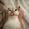 messyenergy_