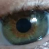 guilherme___c15