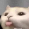 moemematchalatte05