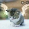 user721116504