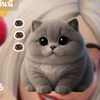 ppimmy2525