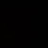 _foxman_8