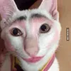 peachpatpet