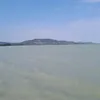 alexandratarsoly0