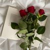 qwe_en4