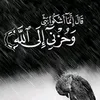 user5074119346742