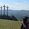 sillysaphir