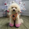 poodypoodle