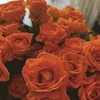 princesse_rimnoucha