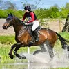 lauren_eventinglife