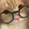itszylithh
