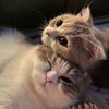 mylittlescratch_