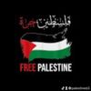 palestine65