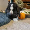 jessandmummy2014321346