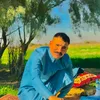 haidrhr