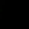 leonvschaick