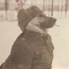 huntingcape9887