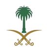falsalem431