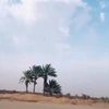 alharby84