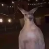 0m__o0