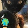 binkiweb