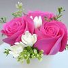 sam.djamel