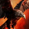 king.of.falcons1