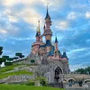 dlpwife
