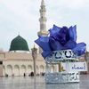 asmaaabdelhadi1