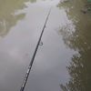 angler.fish1