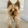 trulyexclusive1