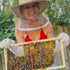 thebikinibeekeeper