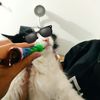 natalia_castillo25