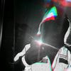 ale_aqu1no03