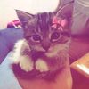 xyz_yumnz4
