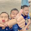 saringking