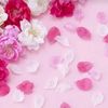 pinkprincess2112