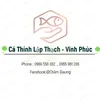 cathinhlapthachvinhphuc